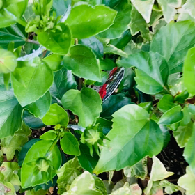 介護記録９５（父が教えてくれた事）の画像