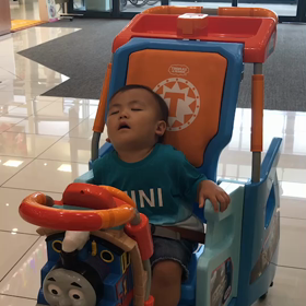 ぽんぽこ通信（58）とにかく眠いの！の画像