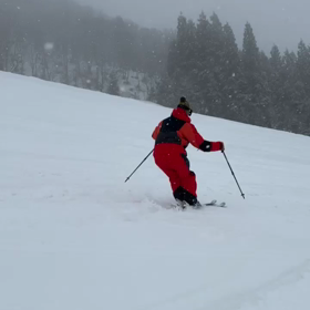 最新インソール40日目❗の画像