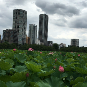 コリもせず…（笑）の画像