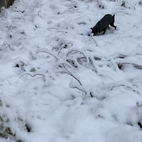 いつの間にか･･･^^;の画像