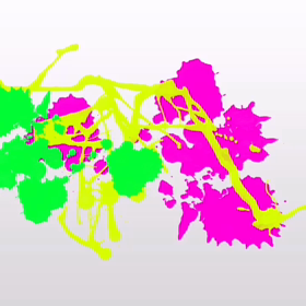 【動画】藤川美帆さん流★ひらめき脳を作る！の画像