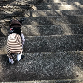 今日のuzullaさん！の画像