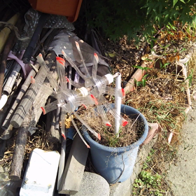 夏休みの工作の画像