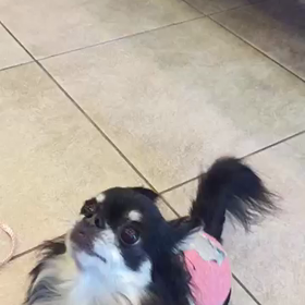 おやつに夢中♪の画像