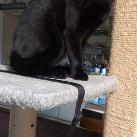 人権侵害？違うよ。宗教行為だよ。 名誉毀損？違うよ。宗教行為だよ。の画像