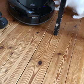 あんなことこんなことの画像