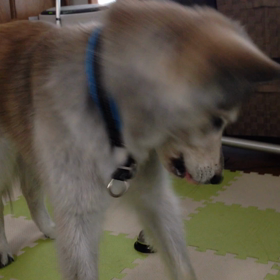 どうでもいい教えの画像