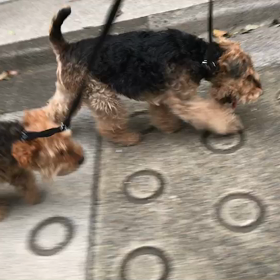 ♪お散歩動画♪参宮橋公園♪の画像