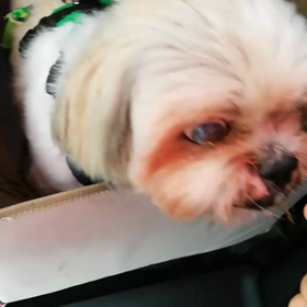 おりこうさん♪の画像