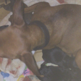 サプライズ‼️の画像