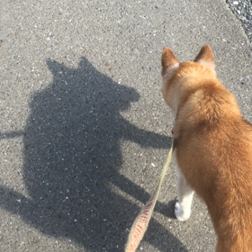 おさんぽの画像