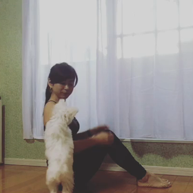 二の腕に効く動画の画像