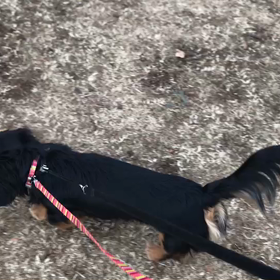 ♪お散歩動画♪代々木公園♪の画像