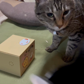 いたずら貯金箱の画像