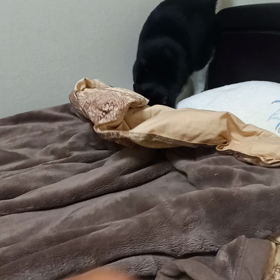 ウラー！！！の画像