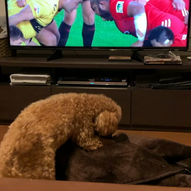 スクラム練習？の画像