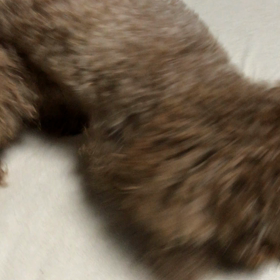 最強！最恐！勇敢な孤高の勇者の画像