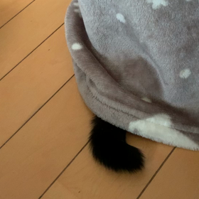 新しい生物の画像