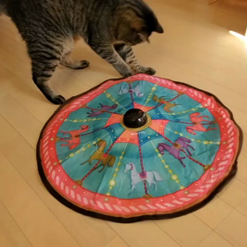 とりあえず報告です。の画像