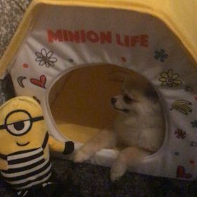 ミニオン。の画像