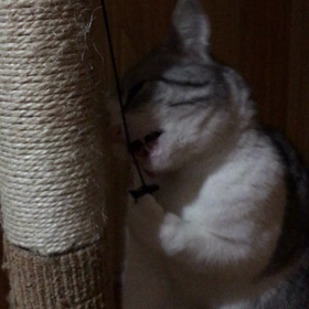 きゅん、可愛いぞ‼️の画像