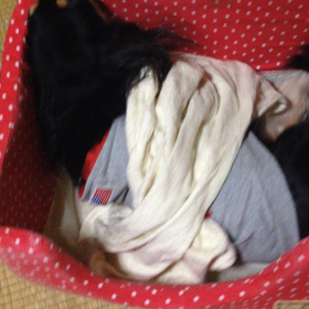 カリカリカリカリカリカリ！2の画像