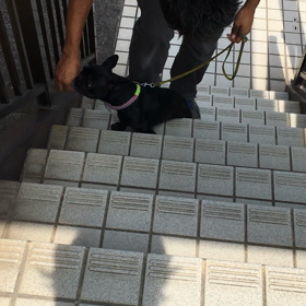 階段がぁ〜の画像