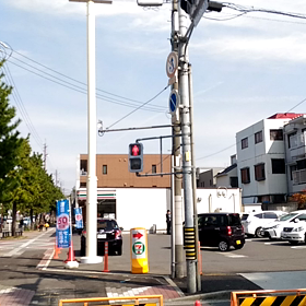 桜を写そうとして発見の画像