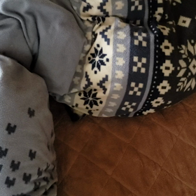 何時もならの画像