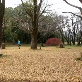 400mインターバル中間点⑥の画像