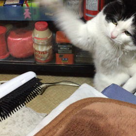 パンチパーンチ！の画像