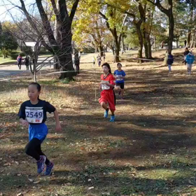 狭山クロカン女子レース中盤⑤の画像