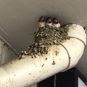 「ひとり」で困ったこと、あったかな…の画像