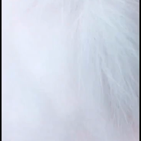 ♥️とろけちゃうよ（動画①の画像