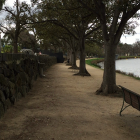 sunday…♪の画像