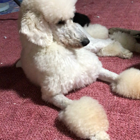 音楽の日に美音さん〜の画像