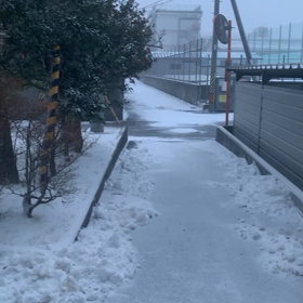 氷の世界の画像