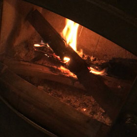 大好きなものたちの画像