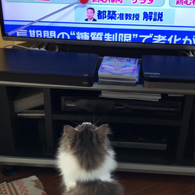 今朝のコハルさんの画像