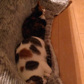 ２人で可愛くの画像