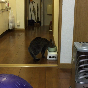 夜 その8の画像