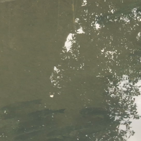 いたんだねの画像