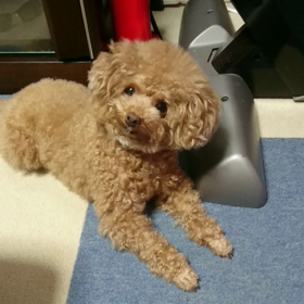 おやすみ✨の画像