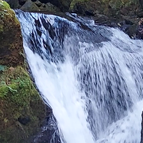 画像 その２の画像