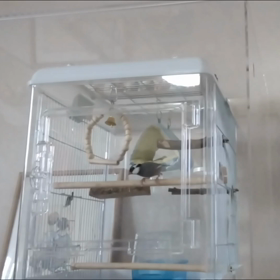 #私の幸せな時間の画像