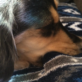 観れるのかな？の画像