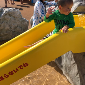 読売ランドのプールの画像