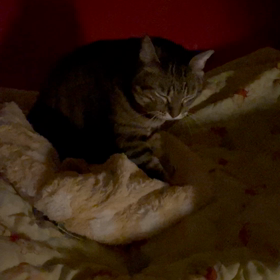 真夜中のの画像