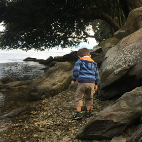 アメリカ移住へ向けての画像